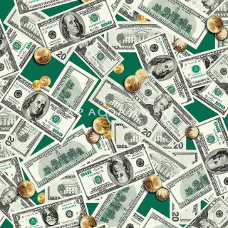 Ткань Полотно вафельное 150 см "Доллары" рис 5476 вид 1