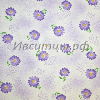 Ткань Ситец 80 62405